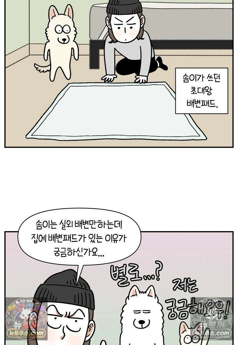 극한견주 시즌2 103화 쉬하는 방법을 모르겠어요 3