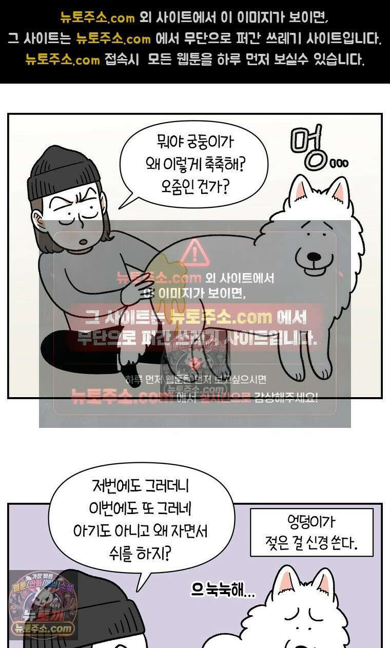 극한견주 시즌2 103화 쉬하는 방법을 모르겠어요 5