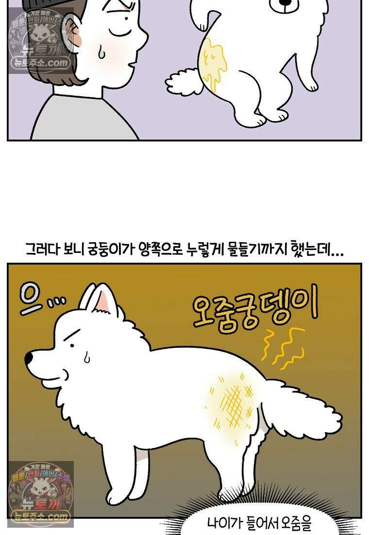 극한견주 시즌2 103화 쉬하는 방법을 모르겠어요 6