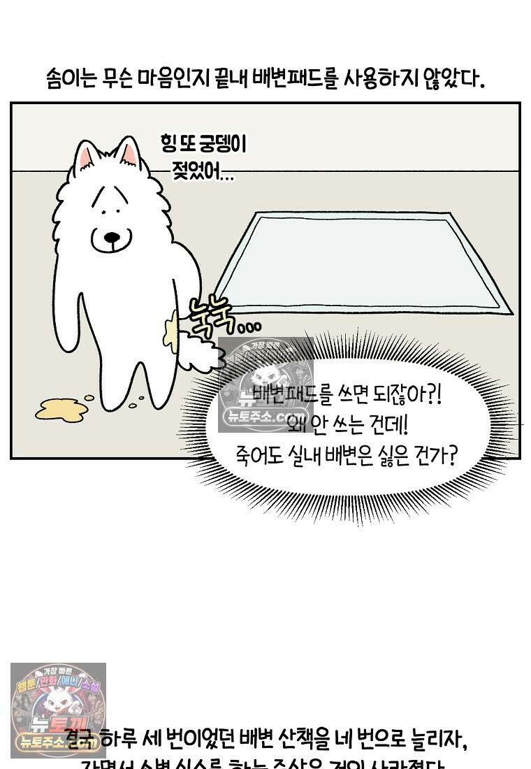 극한견주 시즌2 103화 쉬하는 방법을 모르겠어요 8