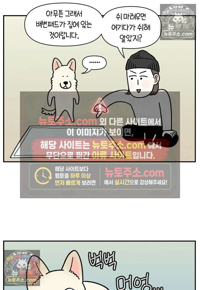 극한견주 시즌2 103화 쉬하는 방법을 모르겠어요 10