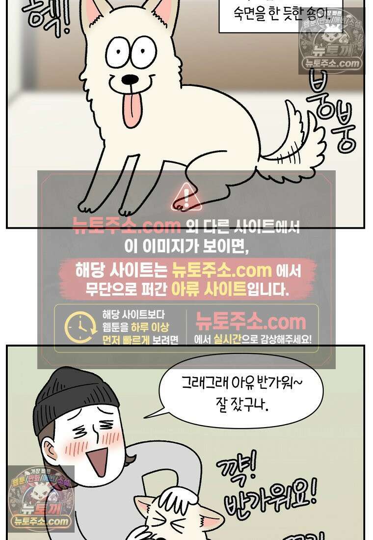 극한견주 시즌2 103화 쉬하는 방법을 모르겠어요 13