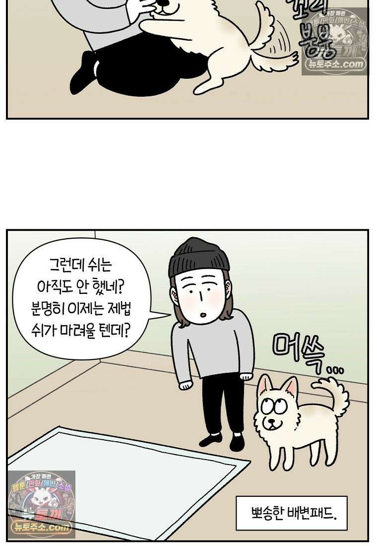 극한견주 시즌2 103화 쉬하는 방법을 모르겠어요 14