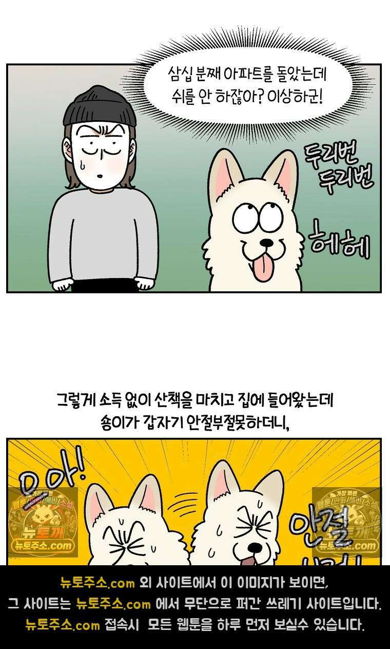 극한견주 시즌2 103화 쉬하는 방법을 모르겠어요 16