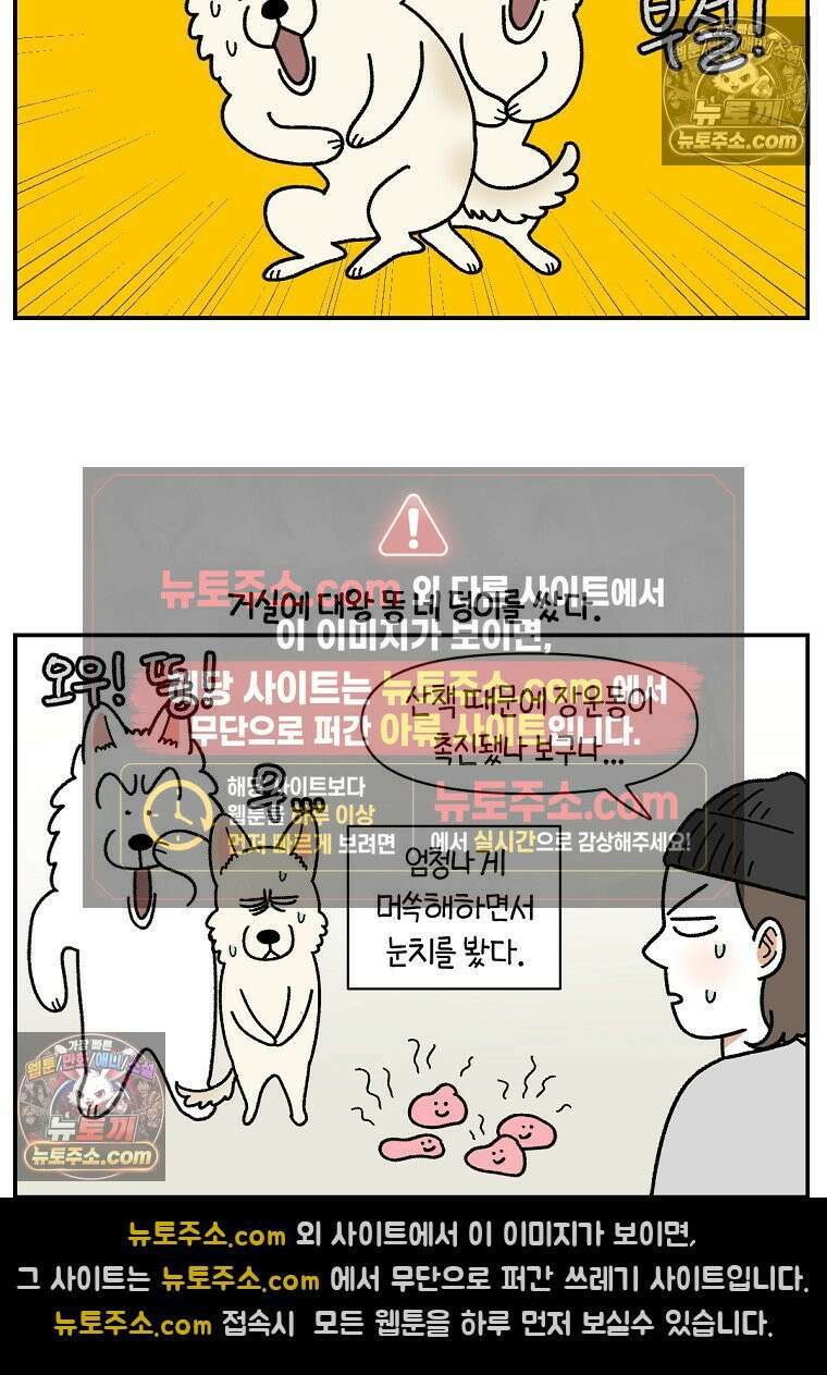 극한견주 시즌2 103화 쉬하는 방법을 모르겠어요 17