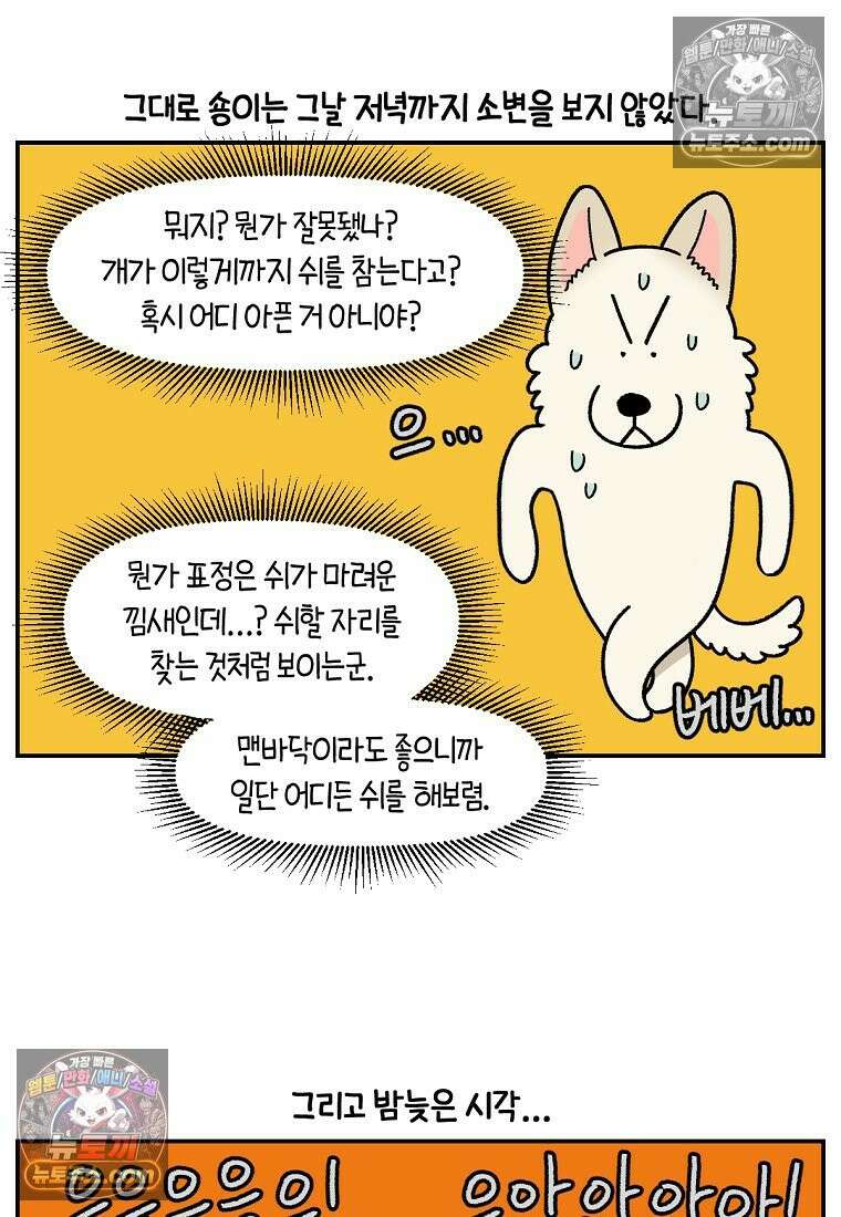 극한견주 시즌2 103화 쉬하는 방법을 모르겠어요 19