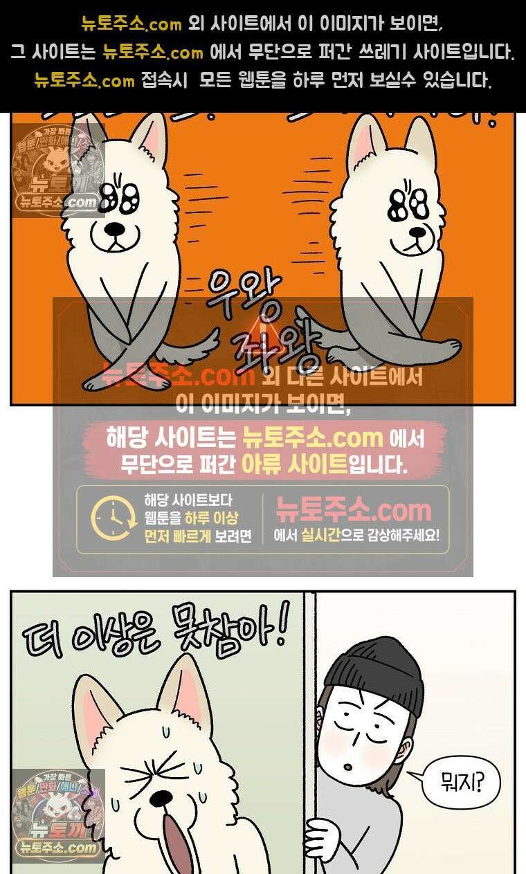 극한견주 시즌2 103화 쉬하는 방법을 모르겠어요 20