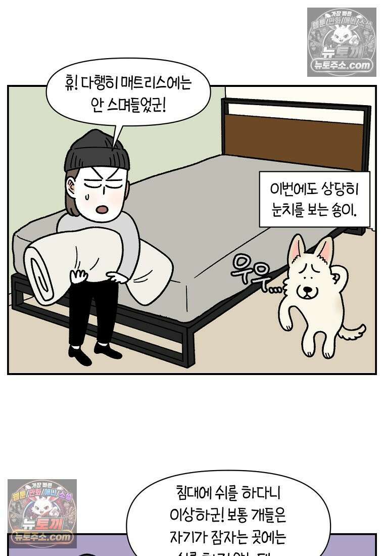 극한견주 시즌2 103화 쉬하는 방법을 모르겠어요 22