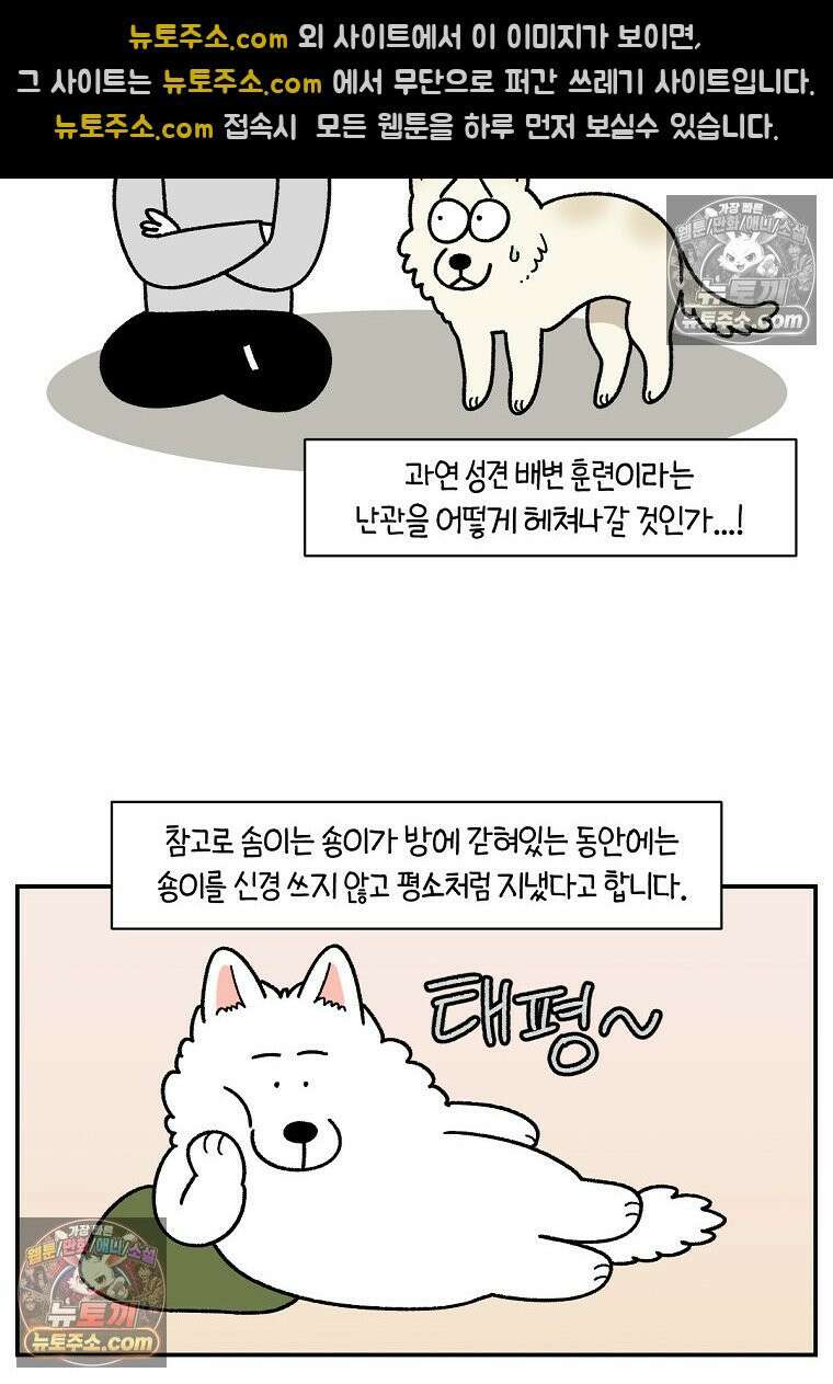 극한견주 시즌2 103화 쉬하는 방법을 모르겠어요 24