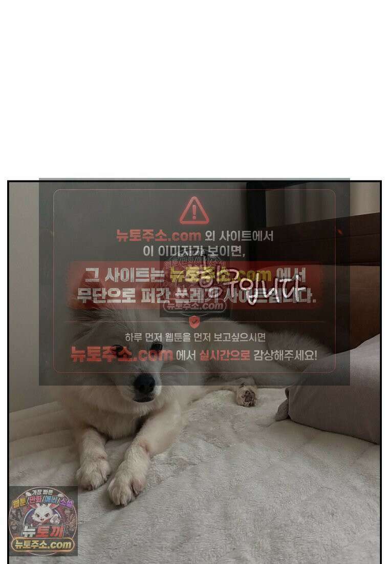 극한견주 시즌2 103화 쉬하는 방법을 모르겠어요 25