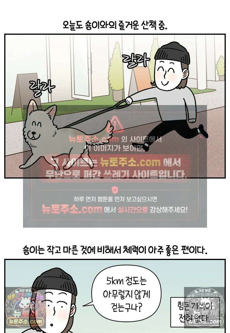 극한견주 시즌2 113화 말랑발바닥 2