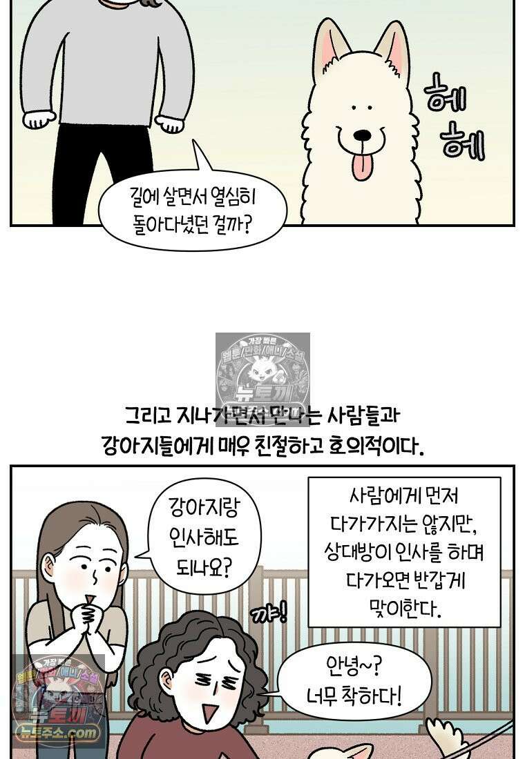 극한견주 시즌2 113화 말랑발바닥 3