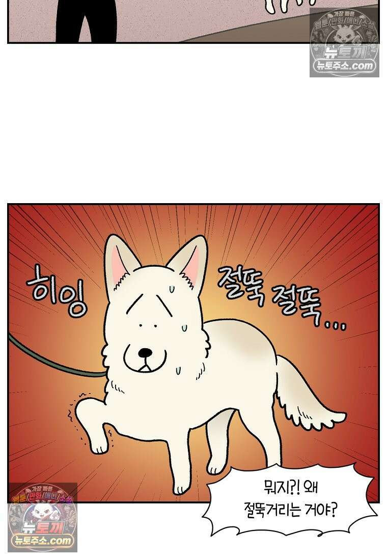 극한견주 시즌2 113화 말랑발바닥 11