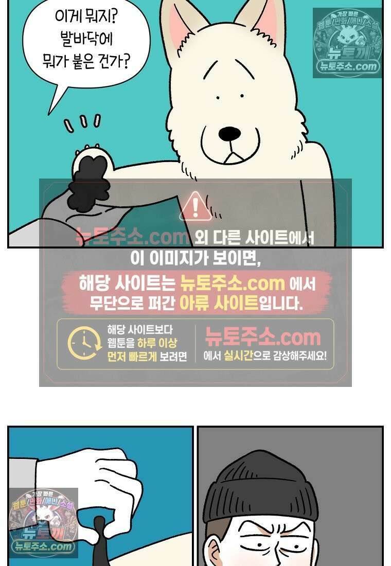 극한견주 시즌2 113화 말랑발바닥 13
