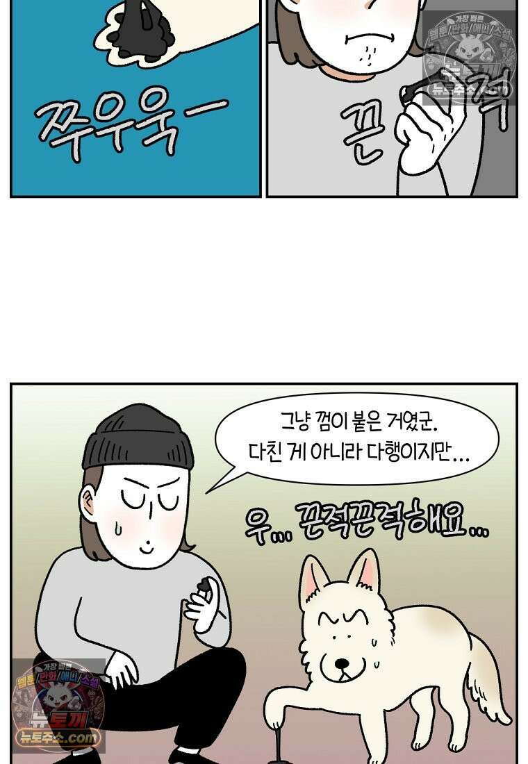 극한견주 시즌2 113화 말랑발바닥 14