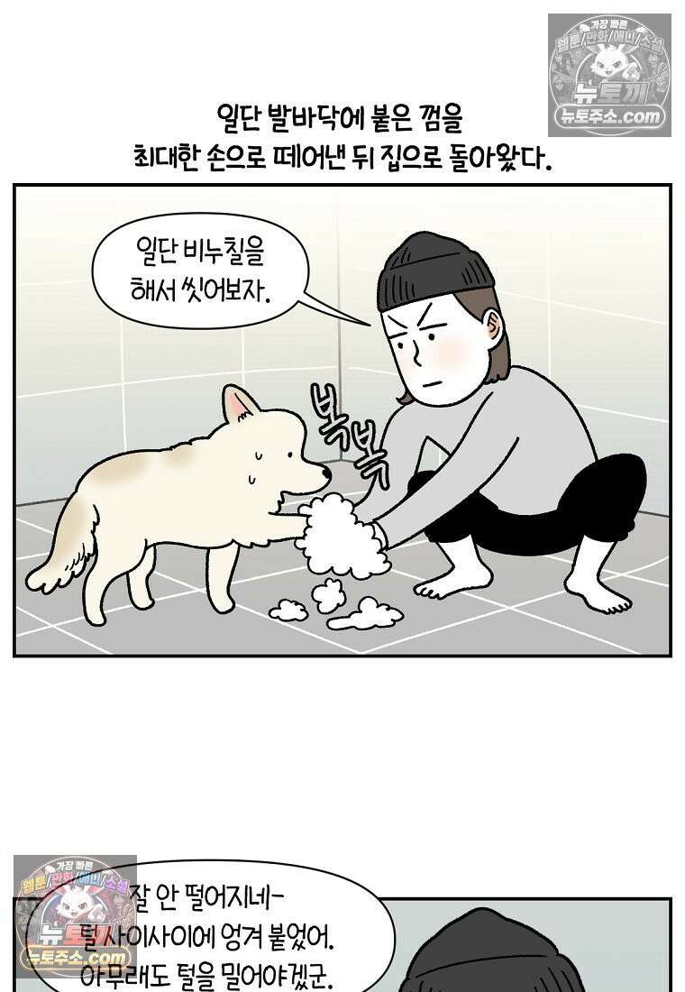 극한견주 시즌2 113화 말랑발바닥 16