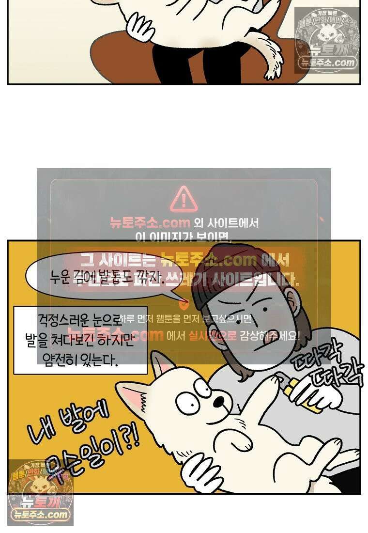 극한견주 시즌2 113화 말랑발바닥 18