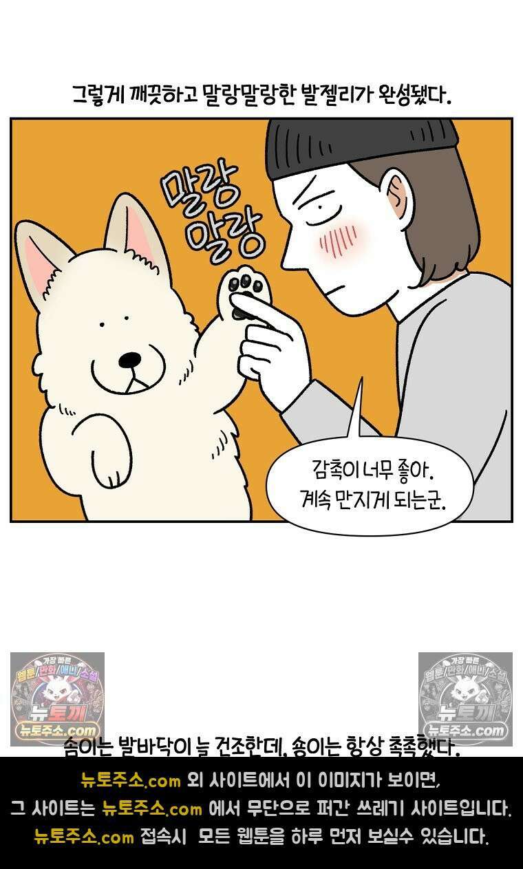 극한견주 시즌2 113화 말랑발바닥 19