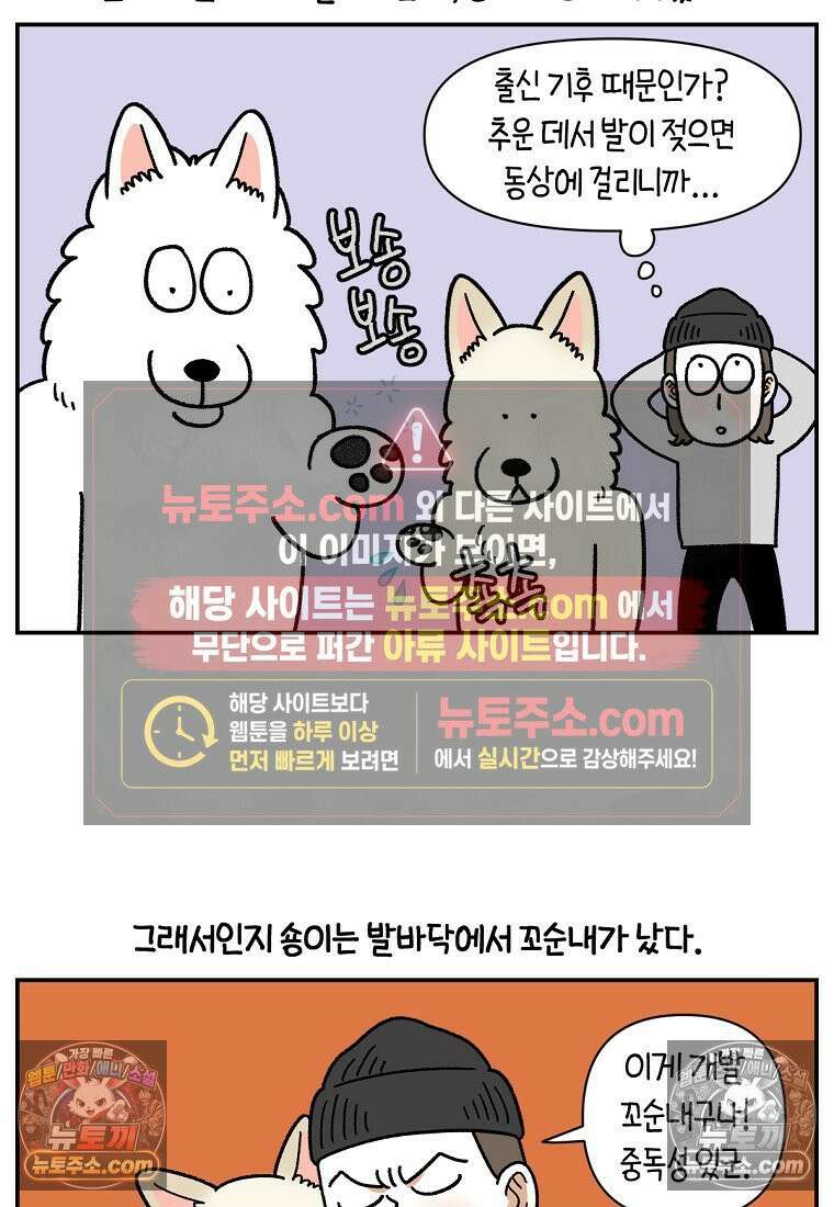 극한견주 시즌2 113화 말랑발바닥 20