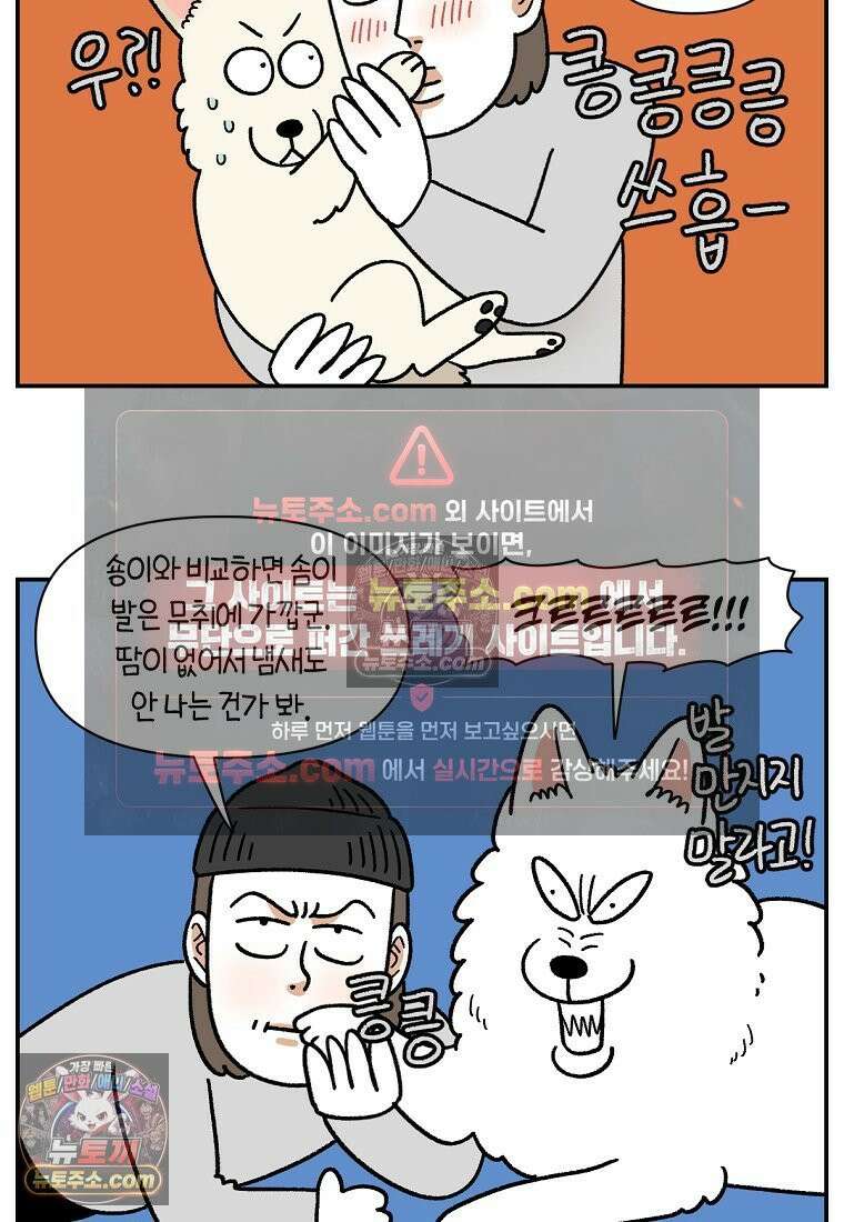 극한견주 시즌2 113화 말랑발바닥 21