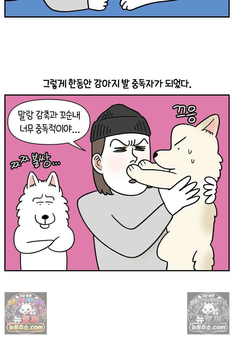 극한견주 시즌2 113화 말랑발바닥 22