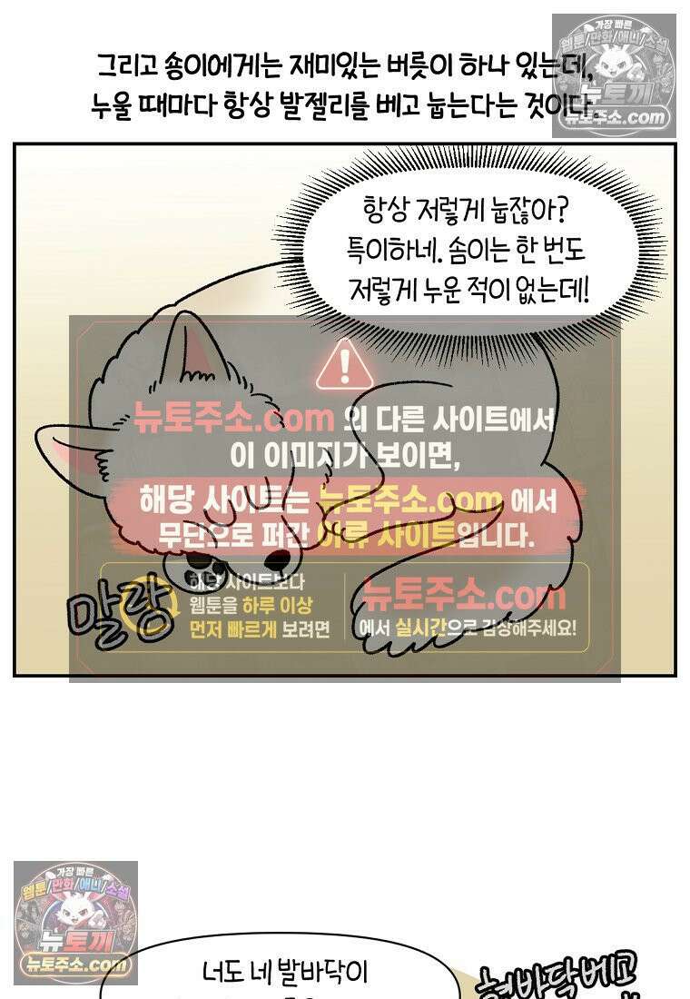 극한견주 시즌2 113화 말랑발바닥 23