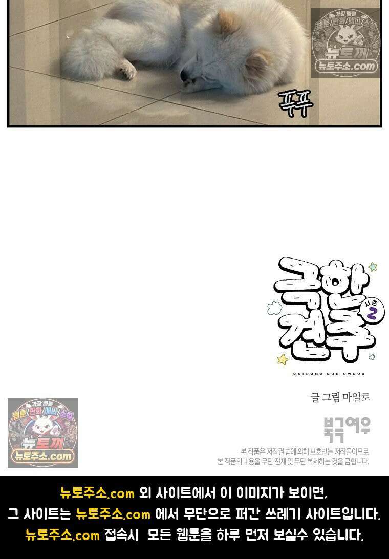 극한견주 시즌2 113화 말랑발바닥 26