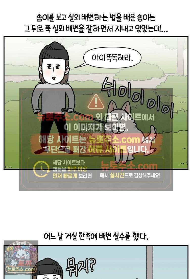 극한견주 시즌2 123화 스스로 화장실을 결정한다 2