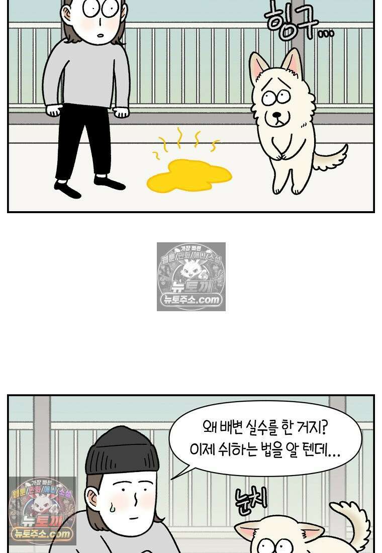 극한견주 시즌2 123화 스스로 화장실을 결정한다 3