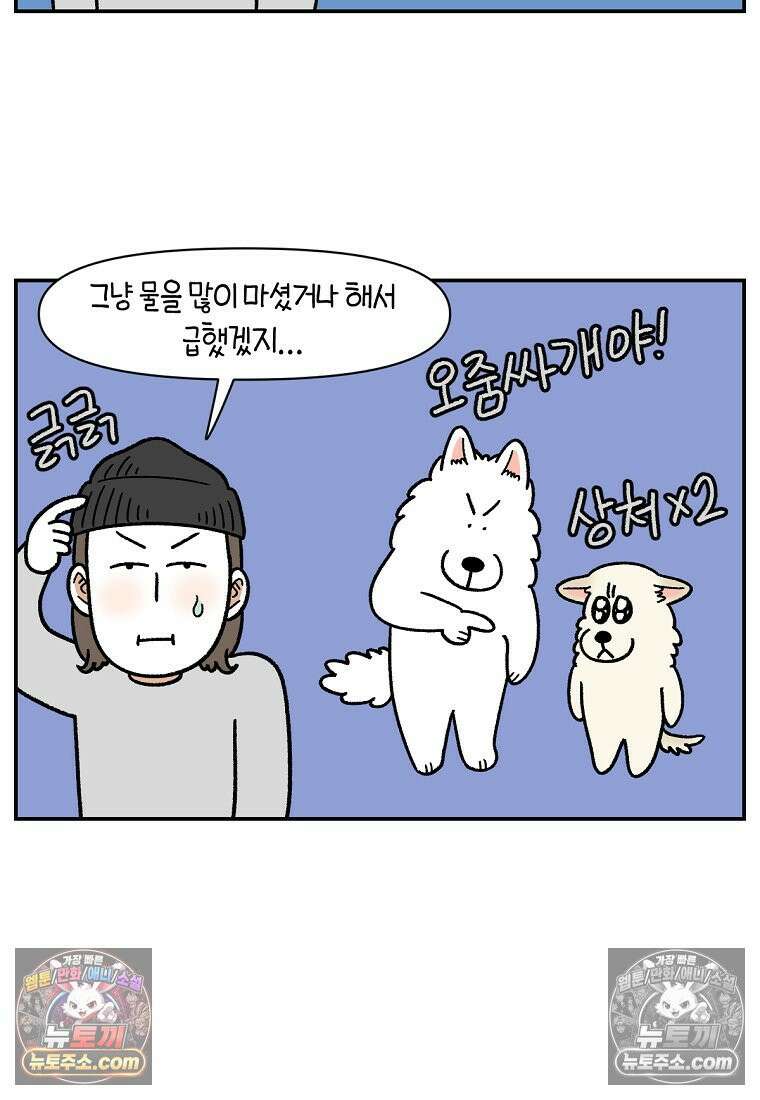 극한견주 시즌2 123화 스스로 화장실을 결정한다 5