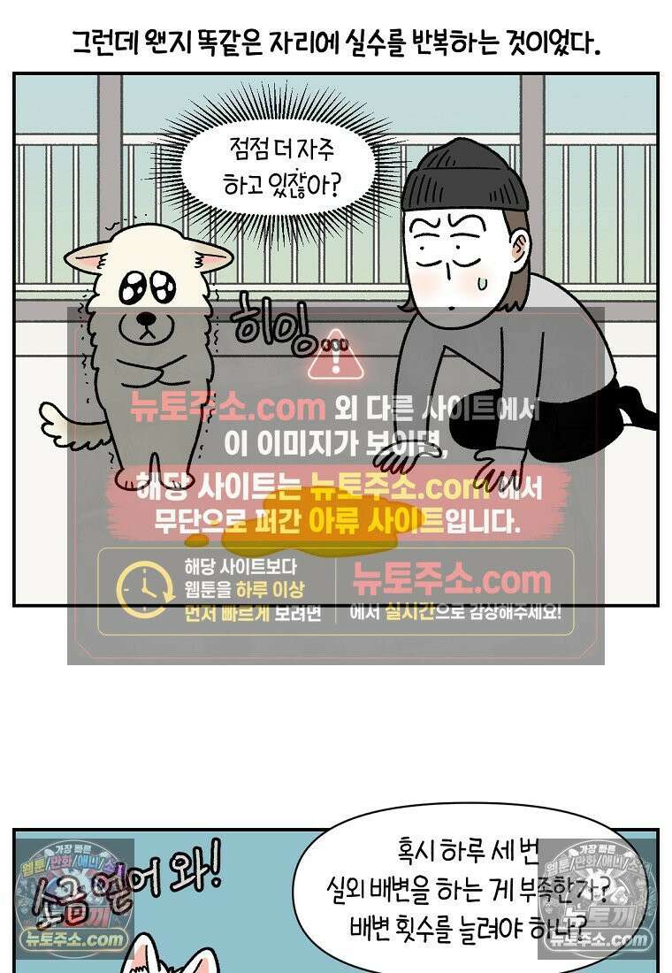 극한견주 시즌2 123화 스스로 화장실을 결정한다 6