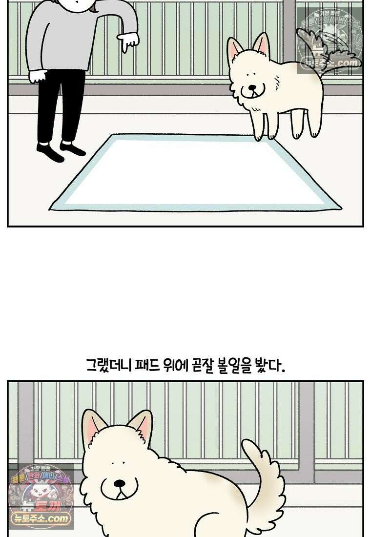 극한견주 시즌2 123화 스스로 화장실을 결정한다 8
