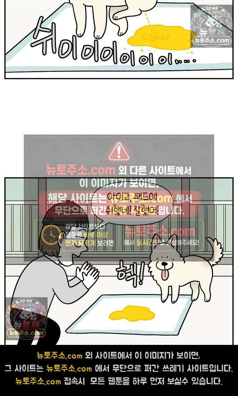 극한견주 시즌2 123화 스스로 화장실을 결정한다 9