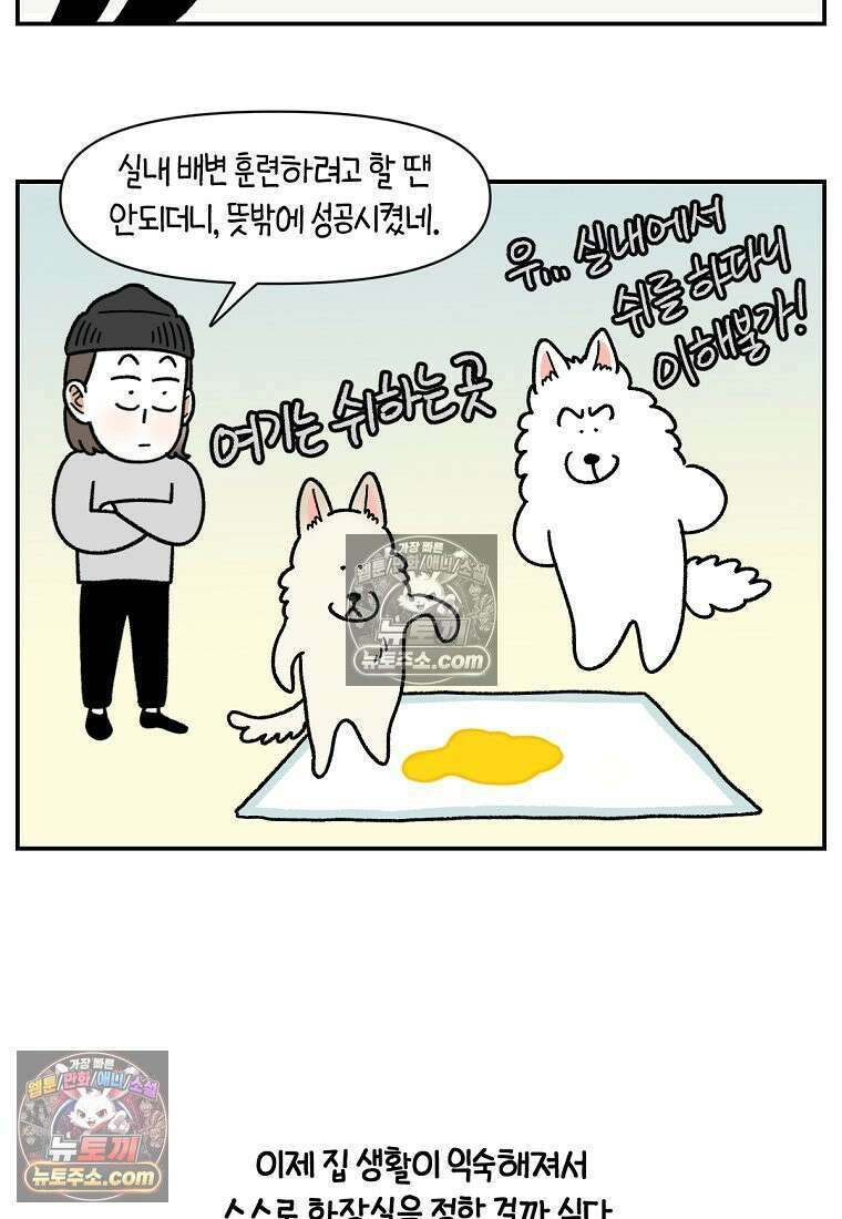 극한견주 시즌2 123화 스스로 화장실을 결정한다 10