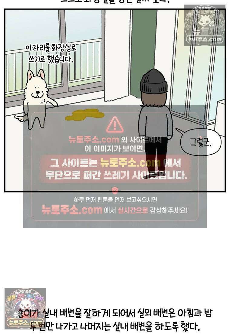극한견주 시즌2 123화 스스로 화장실을 결정한다 11