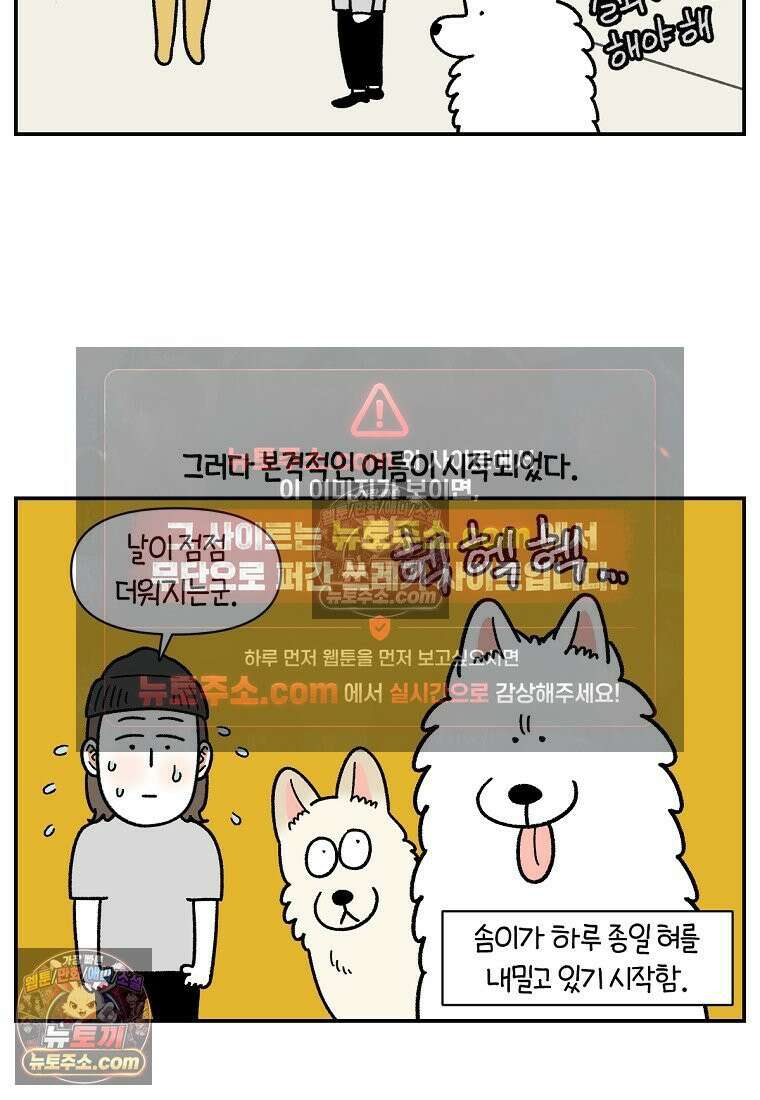 극한견주 시즌2 123화 스스로 화장실을 결정한다 14