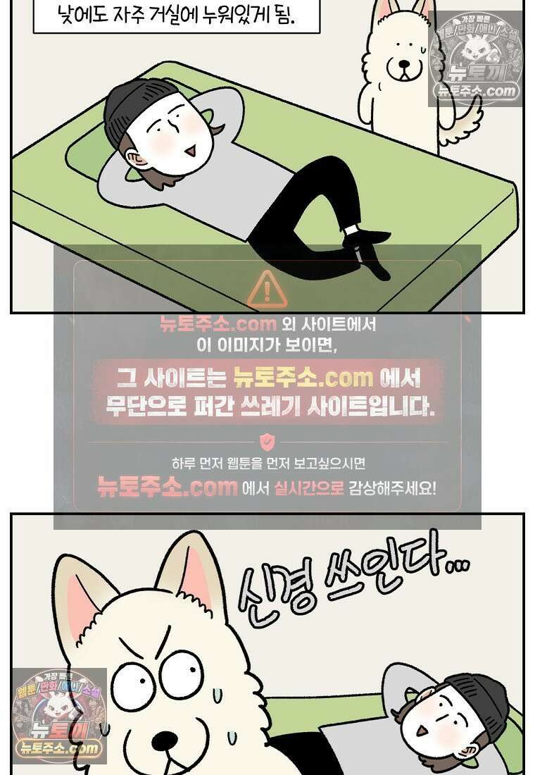 극한견주 시즌2 123화 스스로 화장실을 결정한다 17