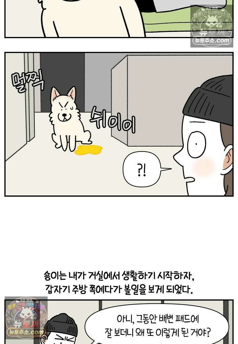 극한견주 시즌2 123화 스스로 화장실을 결정한다 18