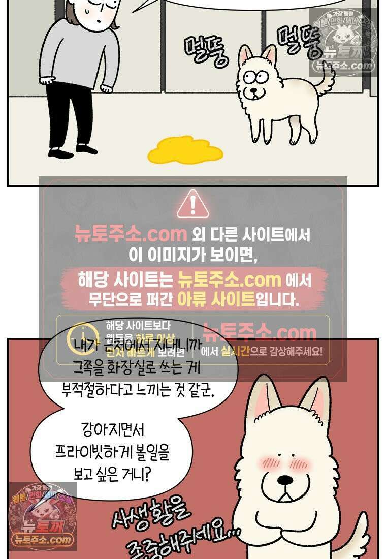 극한견주 시즌2 123화 스스로 화장실을 결정한다 19