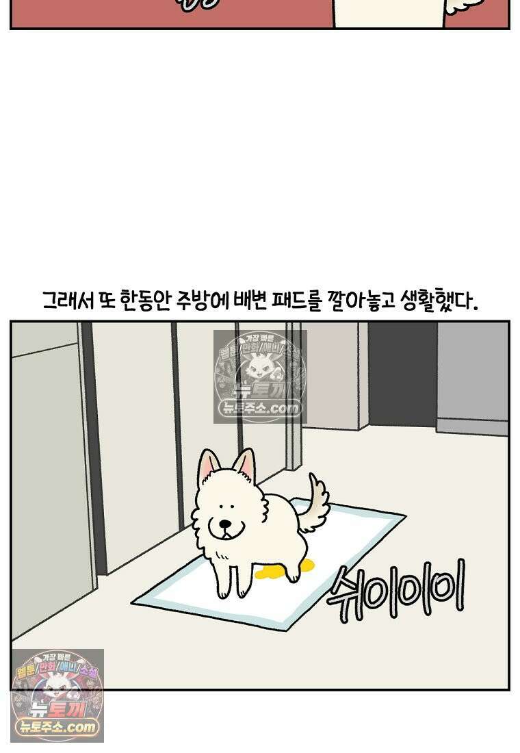 극한견주 시즌2 123화 스스로 화장실을 결정한다 20