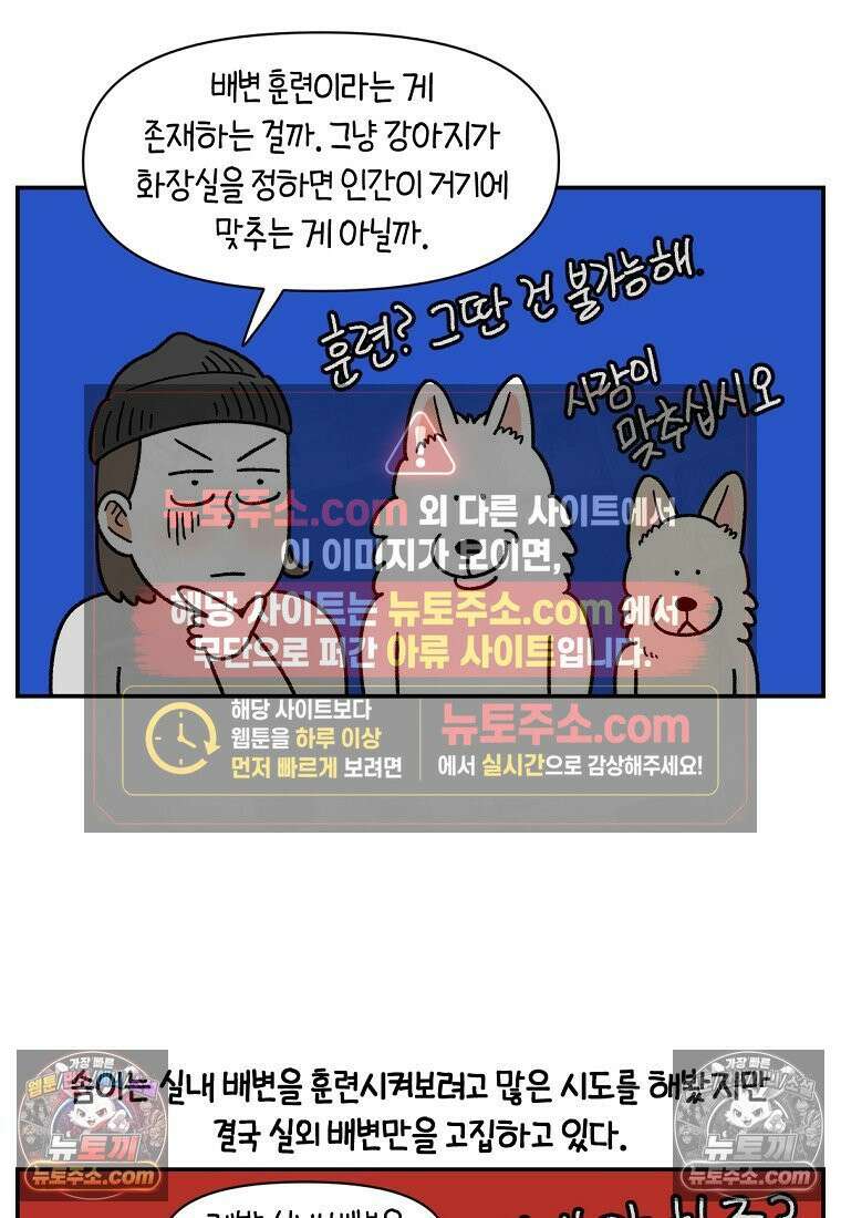 극한견주 시즌2 123화 스스로 화장실을 결정한다 22