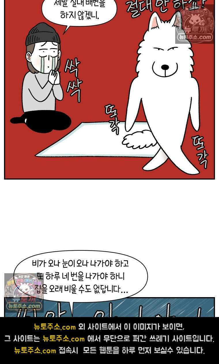 극한견주 시즌2 123화 스스로 화장실을 결정한다 23