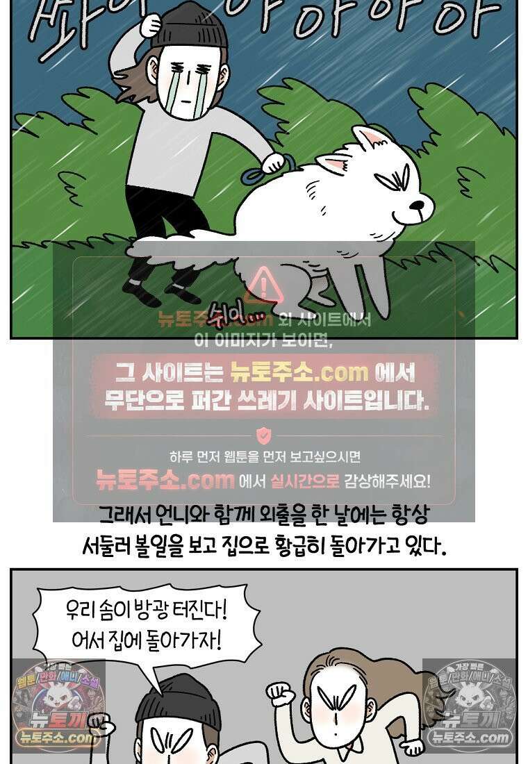 극한견주 시즌2 123화 스스로 화장실을 결정한다 24