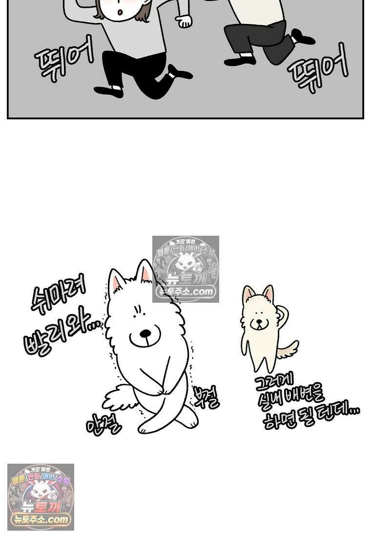 극한견주 시즌2 123화 스스로 화장실을 결정한다 25