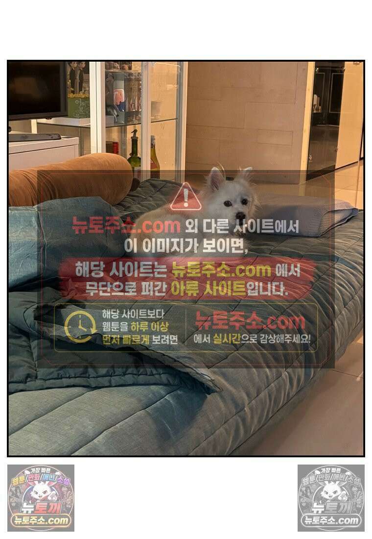 극한견주 시즌2 123화 스스로 화장실을 결정한다 26