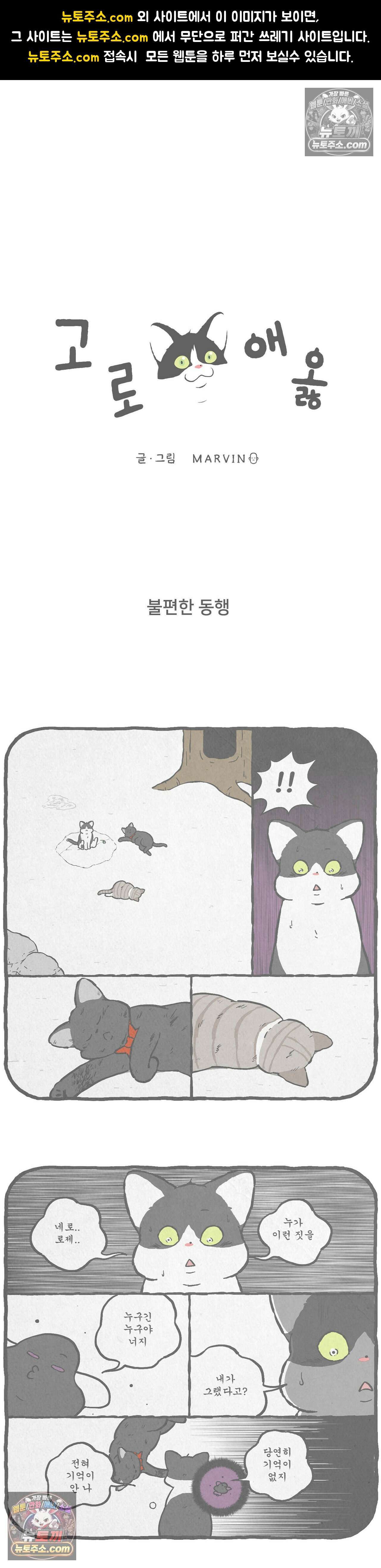 고로애옳 22화 1