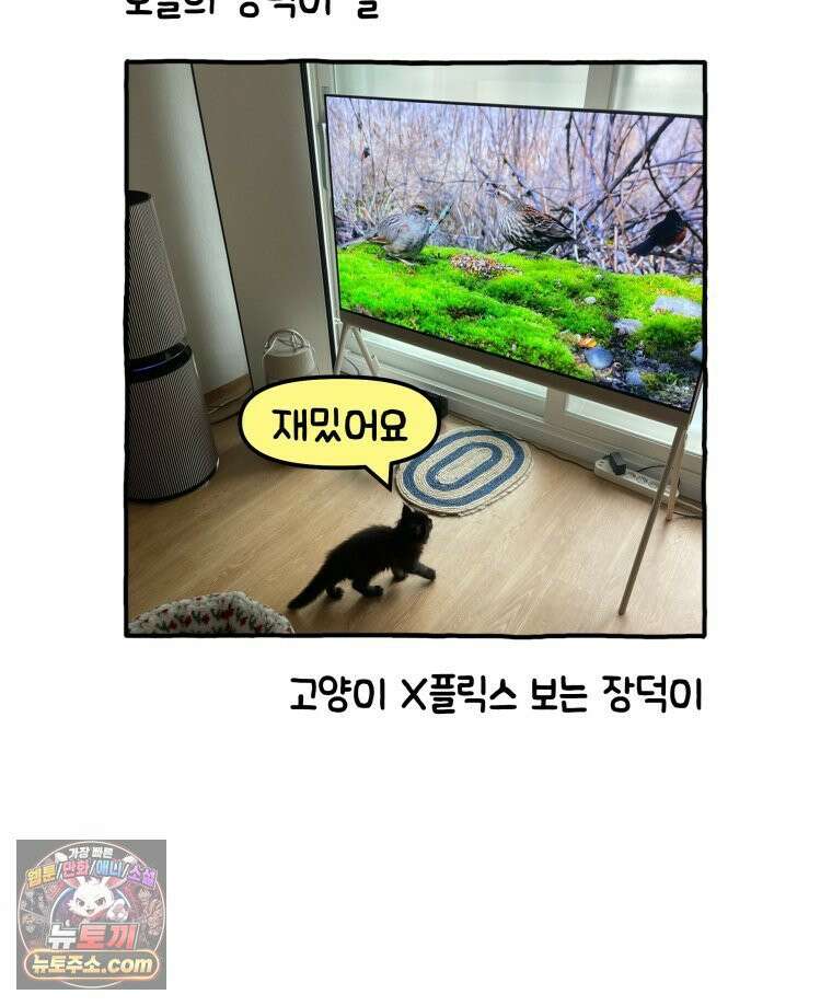 먼지 덩어리 짱덕 10． 놀아줘요 32