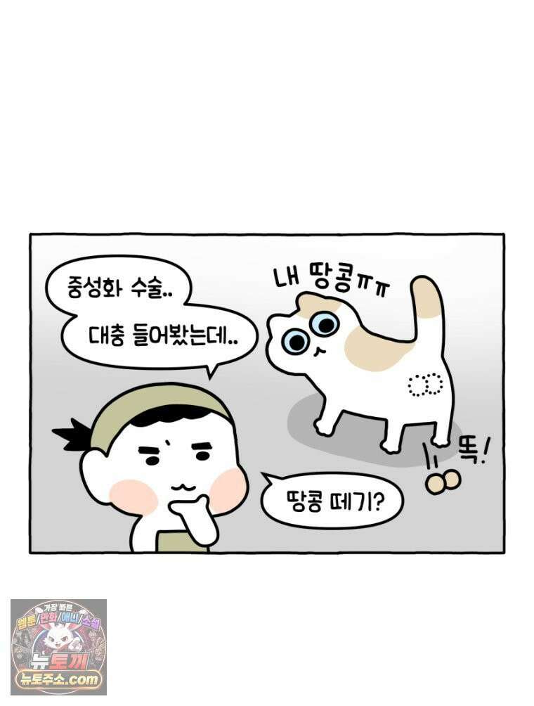 먼지 덩어리 짱덕 18． 중성화 수술 1 4