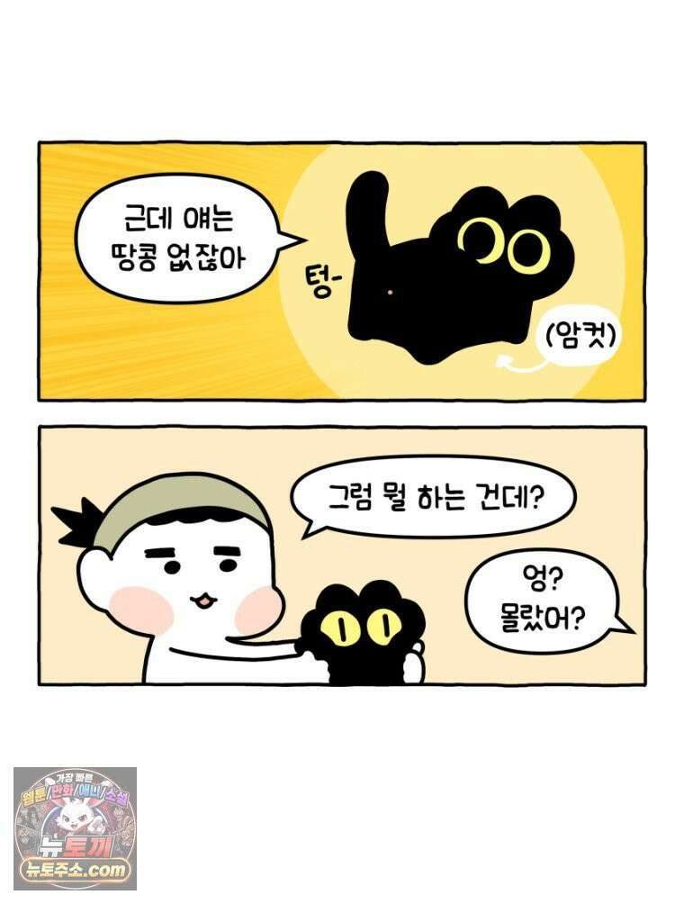 먼지 덩어리 짱덕 18． 중성화 수술 1 5