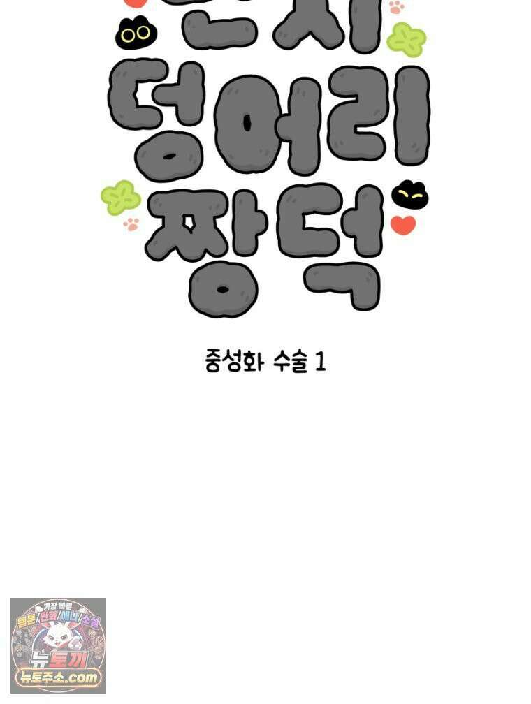 먼지 덩어리 짱덕 18． 중성화 수술 1 7